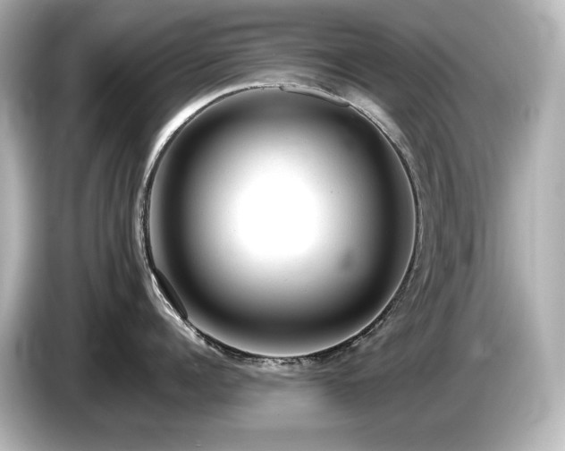 X0000085760960200703161115