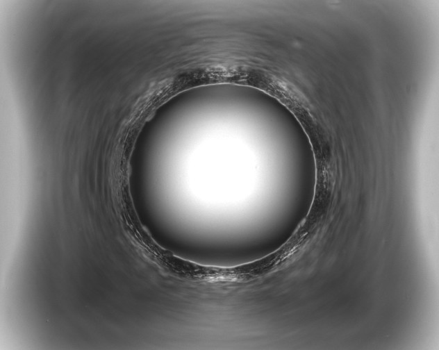 X0000085760961200703161114