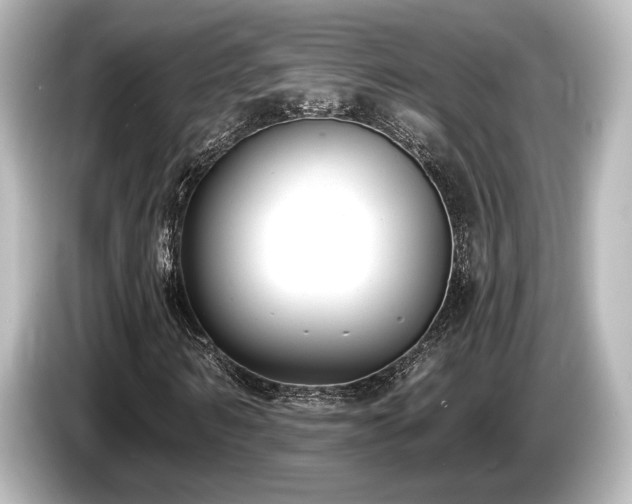 X0000085760962200703161114