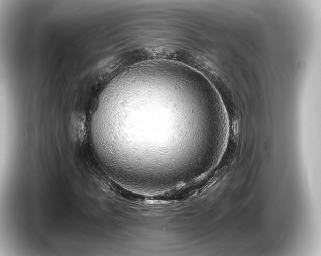X0000085760963200703161114