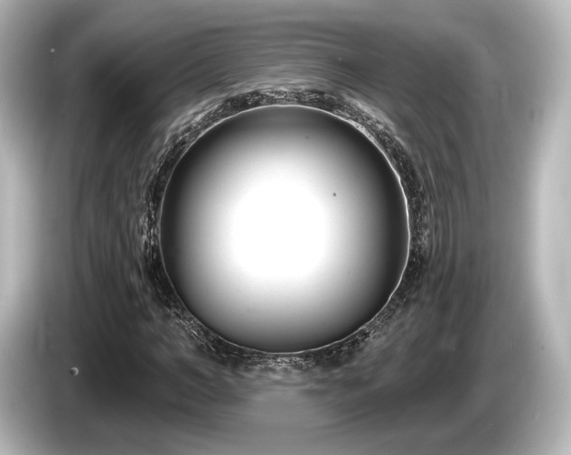 X0000085760966200703161114