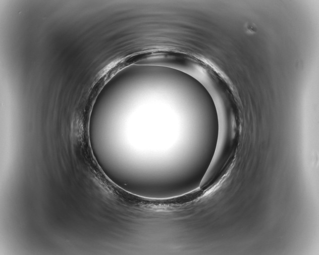 X0000085760969200703161114