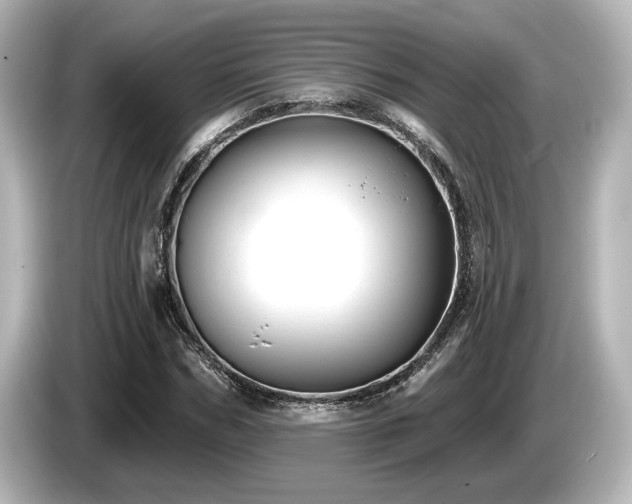 X0000085760970200703161114