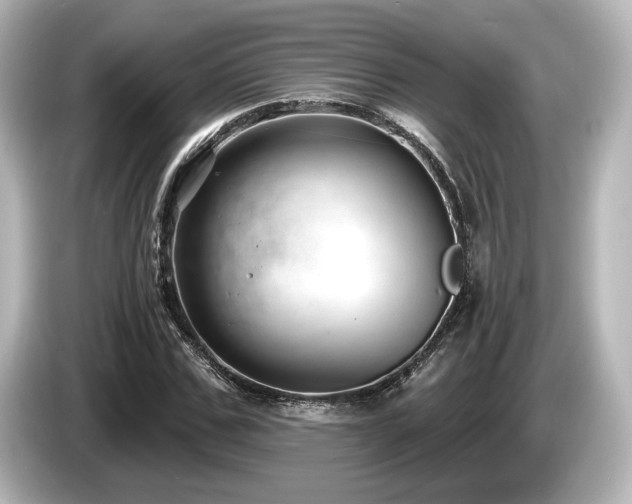 X0000085760971200703161114