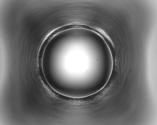 X0000085760972200703161114
