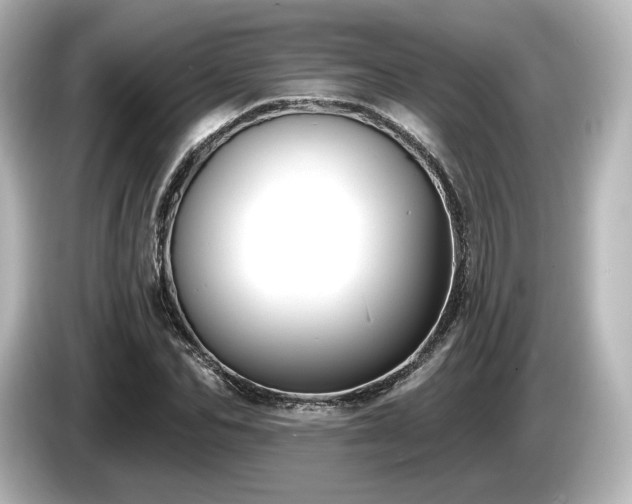 X0000085760974200703161114