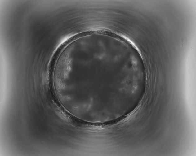 X0000085760975200703161114