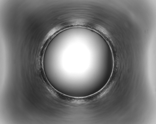 X0000085760978200703161114
