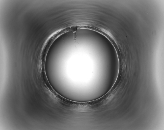 X0000085760979200703161114