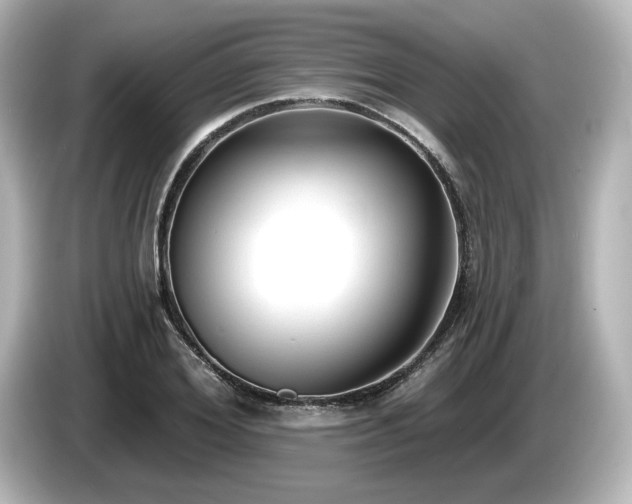 X0000085760980200703161114