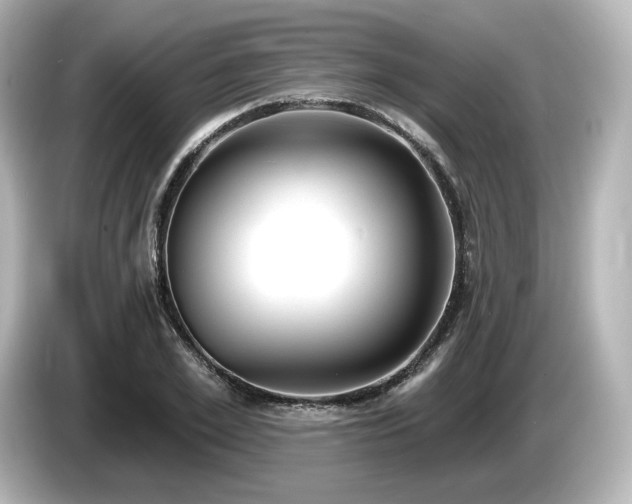 X0000085760981200703161114