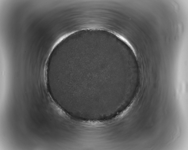 X0000085760983200703161114