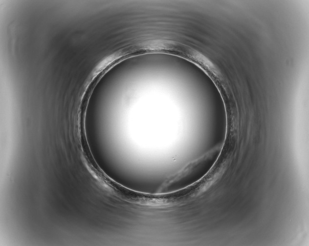X0000085760986200703161114