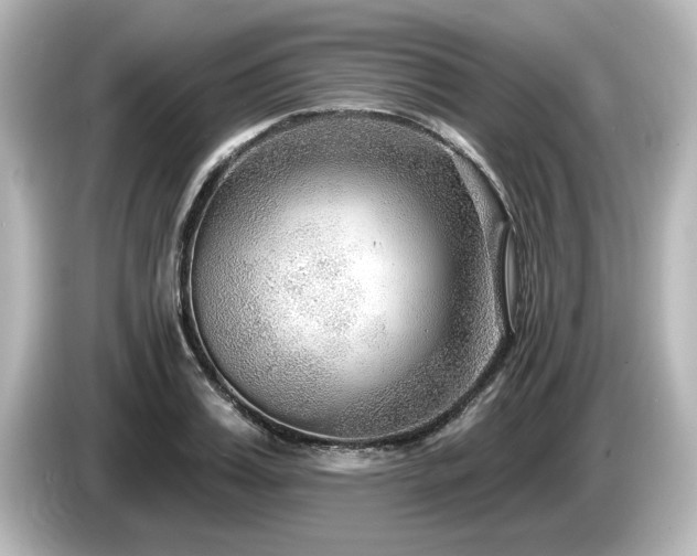 X0000085760987200703161114