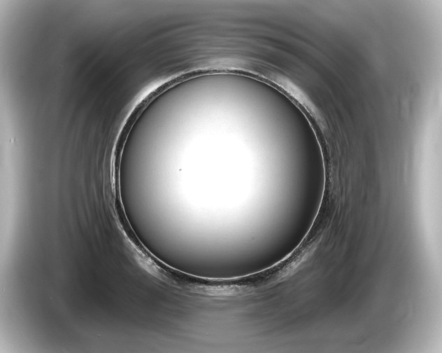 X0000085760988200703161114