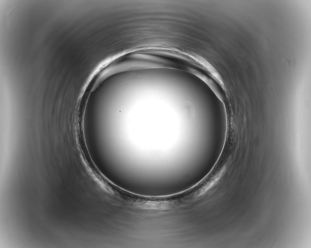 X0000085760989200703161114