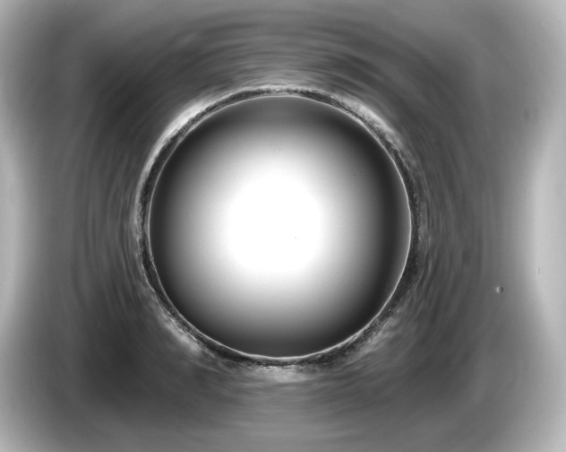 X0000085760990200703161114
