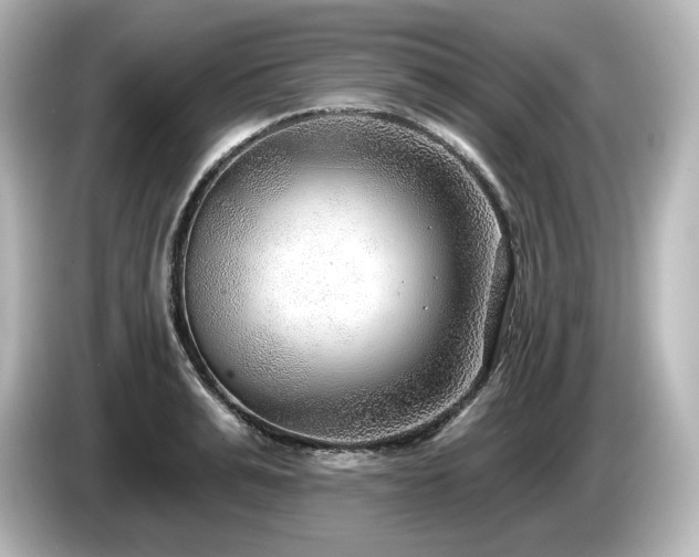 X0000085760991200703161114