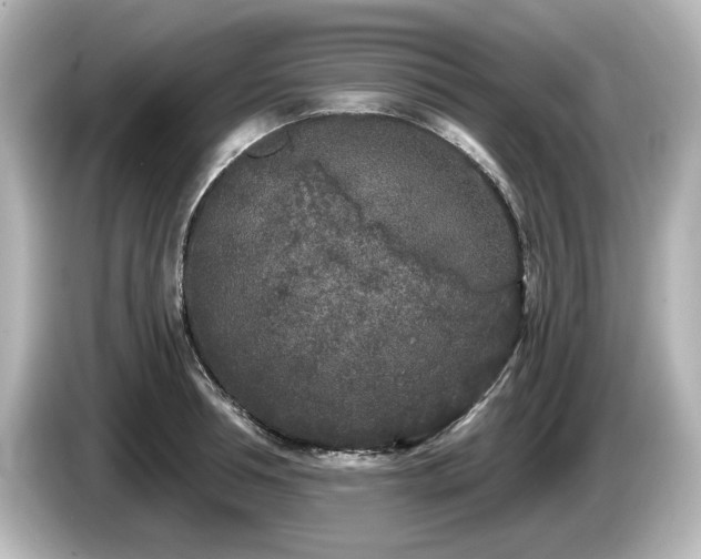 X0000085760994200703161114