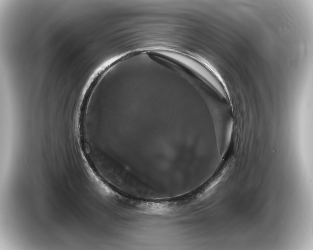 X0000085760995200703161114