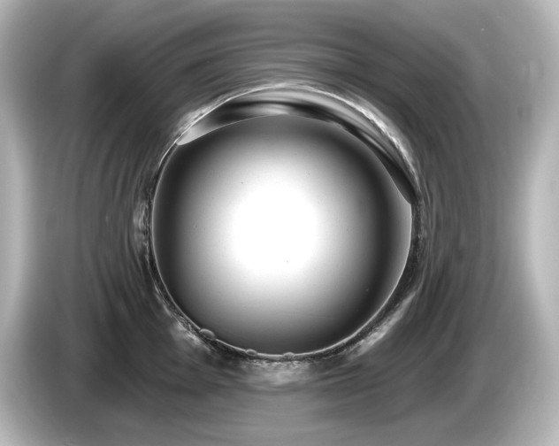 X0000085761001200703161113