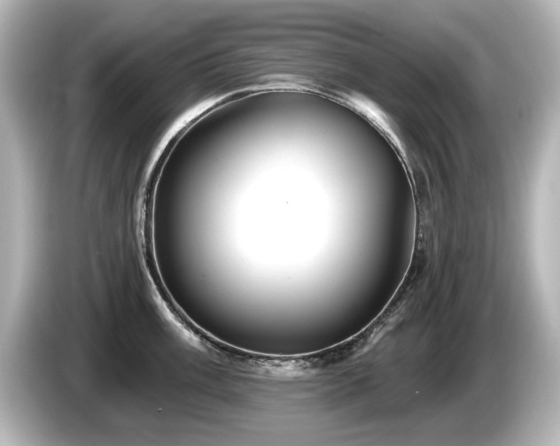 X0000085761003200703161113