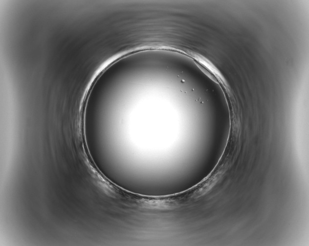 X0000085761004200703161113