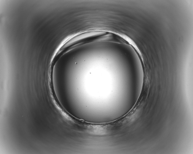 X0000085761005200703161113
