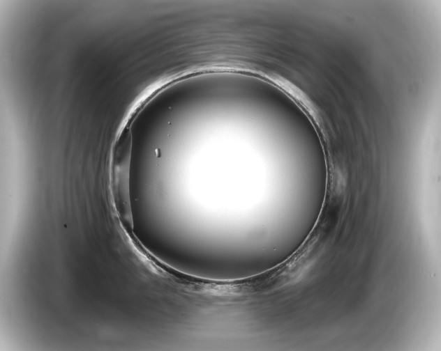 X0000085761006200703161113