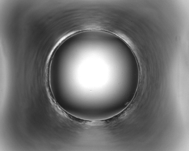 X0000085761008200703161113