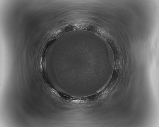 X0000085761010200703161113