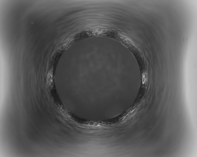 X0000085761011200703161113