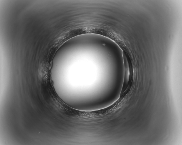 X0000085761012200703161113