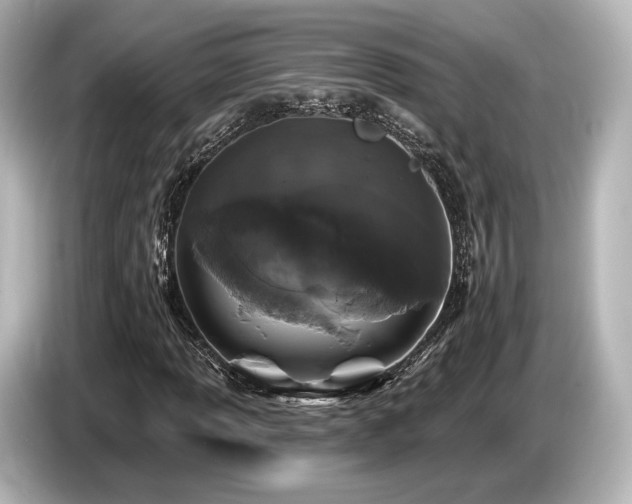 X0000085761013200703161113