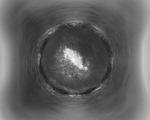X0000085761014200703161113