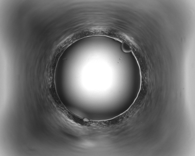 X0000085761015200703161113
