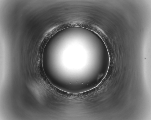 X0000085761016200703161113