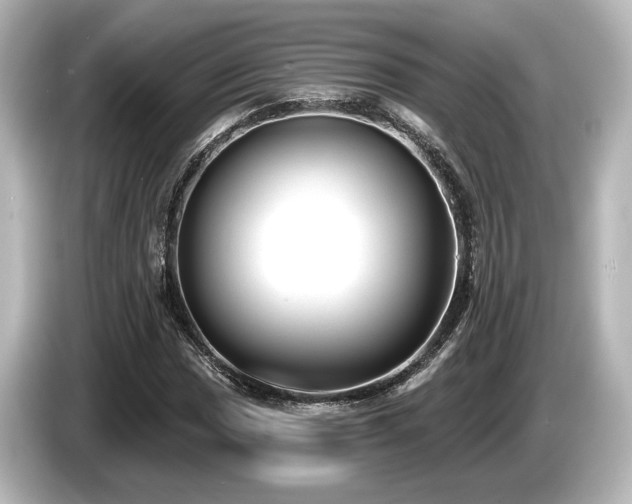 X0000085761017200703161113