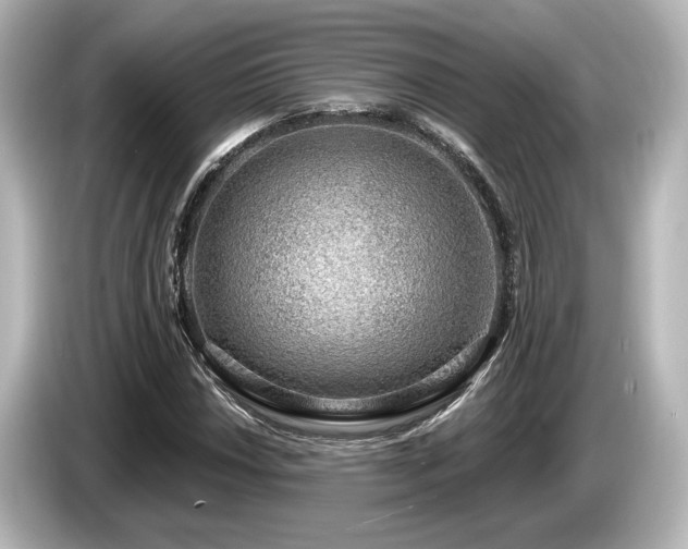 X0000085761018200703161113