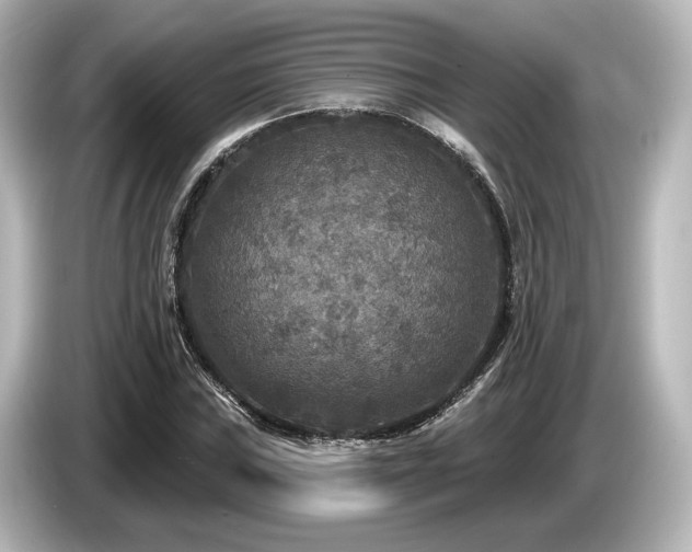 X0000085761019200703161113