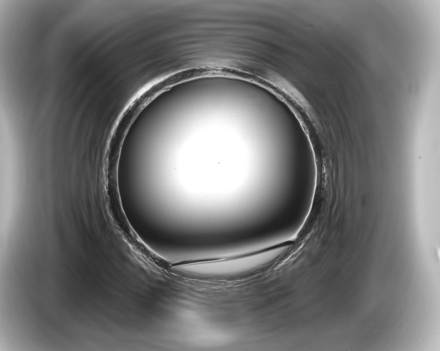 X0000085761020200703161113