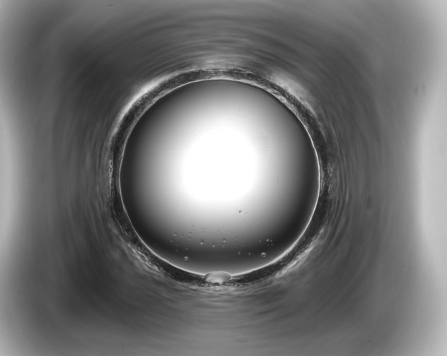 X0000085761021200703161113