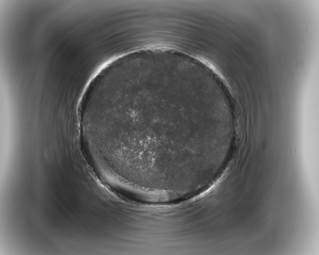 X0000085761022200703161113