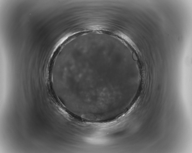 X0000085761023200703161113