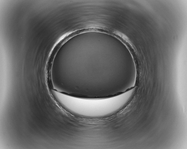 X0000085761024200703161113