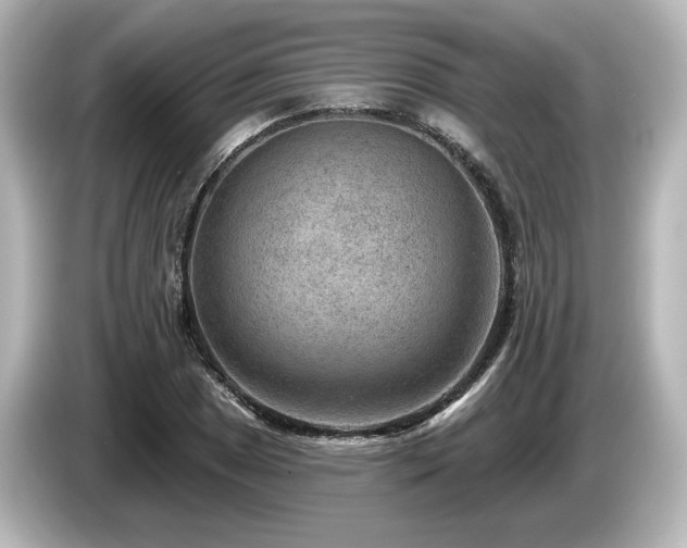 X0000085761025200703161113