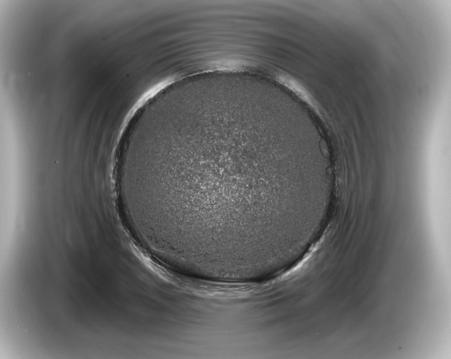 X0000085761026200703161113