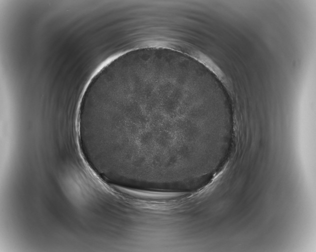 X0000085761028200703161113