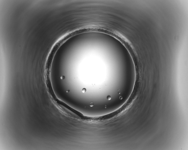 X0000085761029200703161113