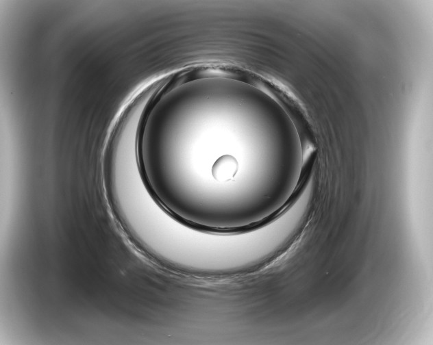 X0000085761030200703161113